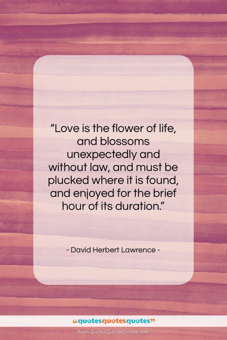 David Herbert Lawrence quote: “Love is the flower of life, and…”- at QuotesQuotesQuotes.com