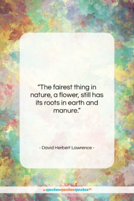 David Herbert Lawrence quote: “The fairest thing in nature, a flower,…”- at QuotesQuotesQuotes.com