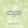 David Herbert Lawrence quote: “Tragedy is like strong acid — it…”- at QuotesQuotesQuotes.com