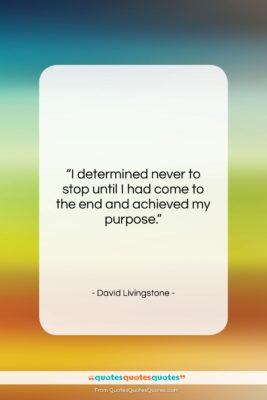 David Livingstone quote: “I determined never to stop until I…”- at QuotesQuotesQuotes.com