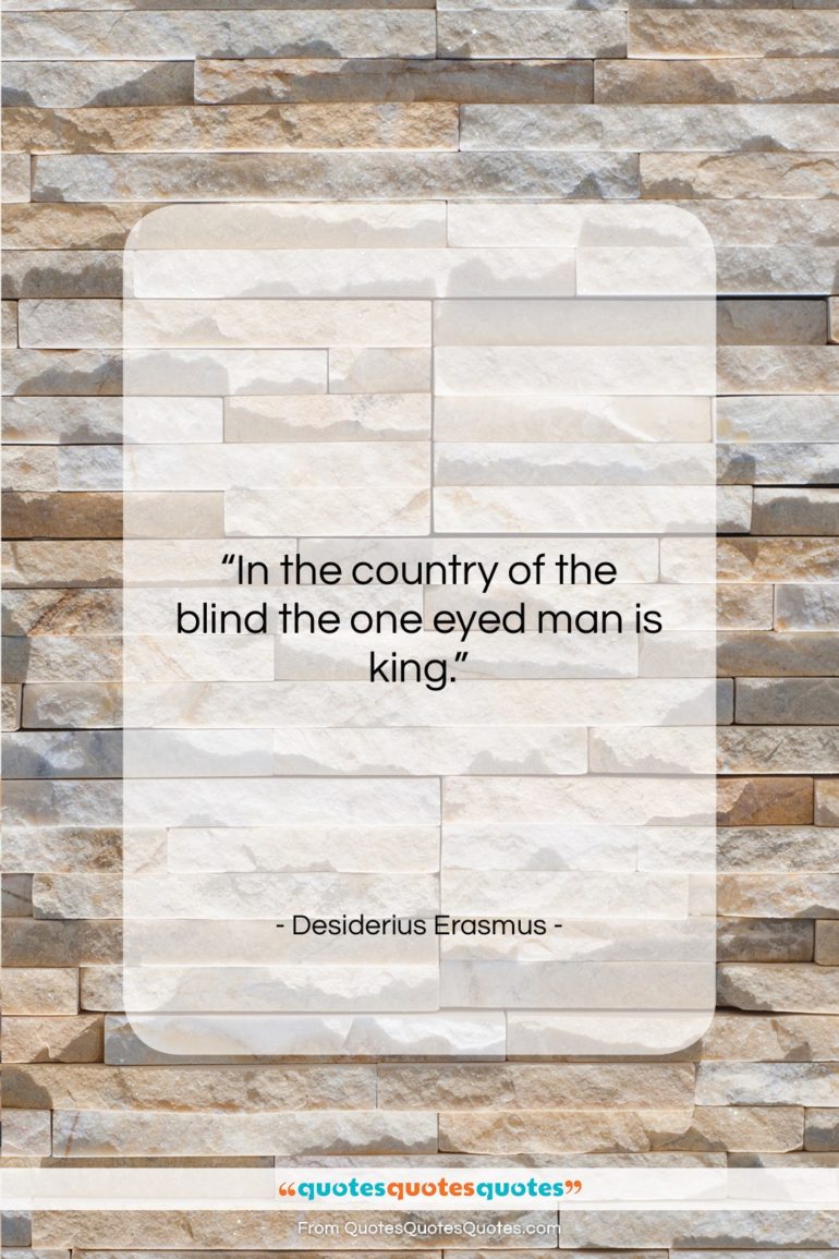 Desiderius Erasmus quote: “In the country of the blind the…”- at QuotesQuotesQuotes.com
