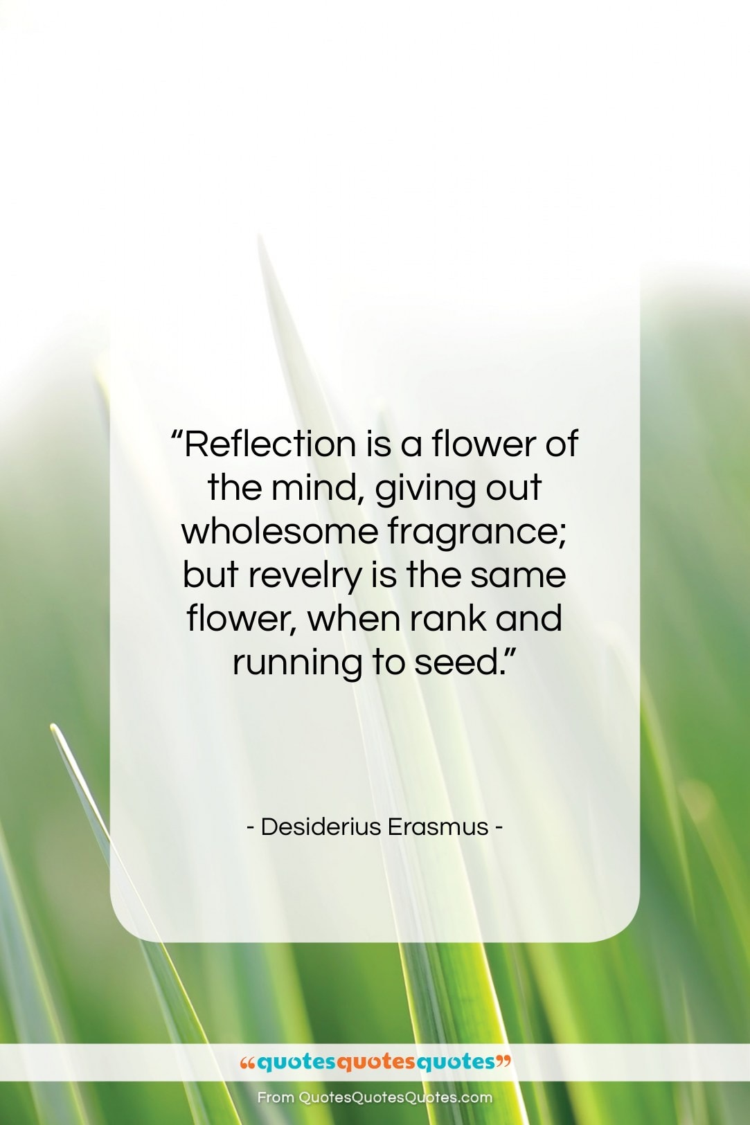 Desiderius Erasmus quote: “Reflection is a flower of the mind,…”- at QuotesQuotesQuotes.com