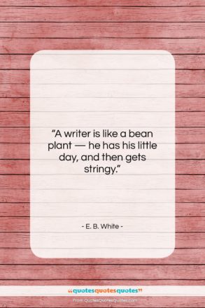 E. B. White quote: “A writer is like a bean plant…”- at QuotesQuotesQuotes.com