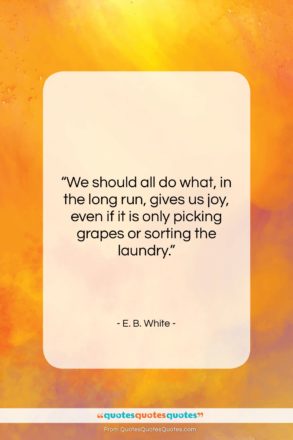 E. B. White quote: “We should all do what, in the…”- at QuotesQuotesQuotes.com