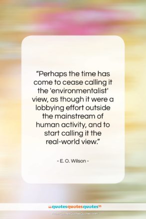 E. O. Wilson quote: “Perhaps the time has come to cease…”- at QuotesQuotesQuotes.com