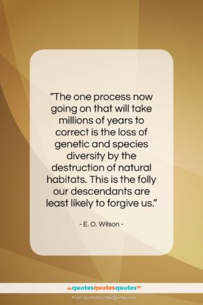 E. O. Wilson quote: “The one process now going on that…”- at QuotesQuotesQuotes.com