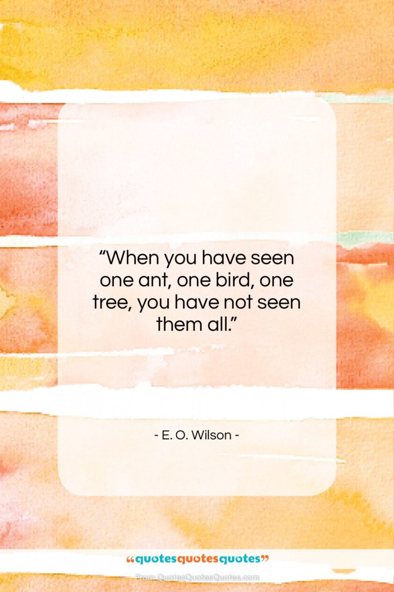 E. O. Wilson quote: “When you have seen one ant, one…”- at QuotesQuotesQuotes.com