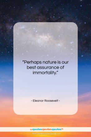 Eleanor Roosevelt quote: “Perhaps nature is our best assurance of…”- at QuotesQuotesQuotes.com
