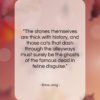 Erica Jong quote: “The stones themselves are thick with history,…”- at QuotesQuotesQuotes.com