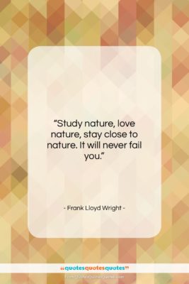 Frank Lloyd Wright quote: “Study nature, love nature, stay close to…”- at QuotesQuotesQuotes.com