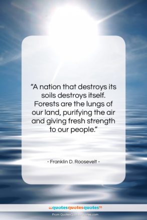 Franklin D. Roosevelt quote: “A nation that destroys its soils destroys…”- at QuotesQuotesQuotes.com