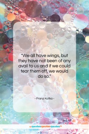 Franz Kafka quote: “We all have wings, but they have…”- at QuotesQuotesQuotes.com
