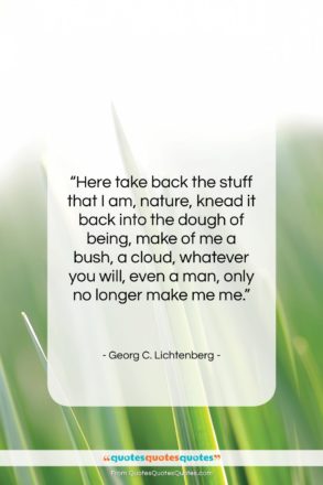 Georg C. Lichtenberg quote: “Here take back the stuff that I…”- at QuotesQuotesQuotes.com
