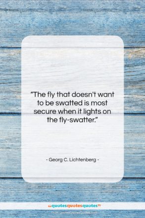 Georg C. Lichtenberg quote: “The fly that doesn’t want to be…”- at QuotesQuotesQuotes.com