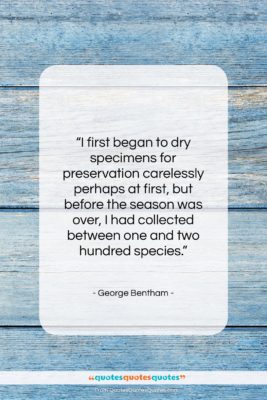 George Bentham quote: “I first began to dry specimens for…”- at QuotesQuotesQuotes.com