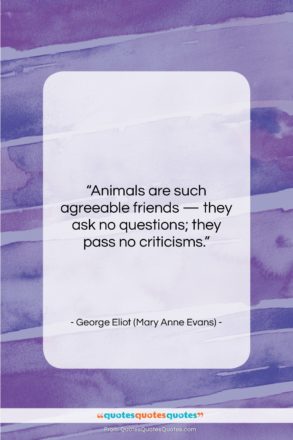 George Eliot (Mary Anne Evans) quote: “Animals are such agreeable friends — they…”- at QuotesQuotesQuotes.com