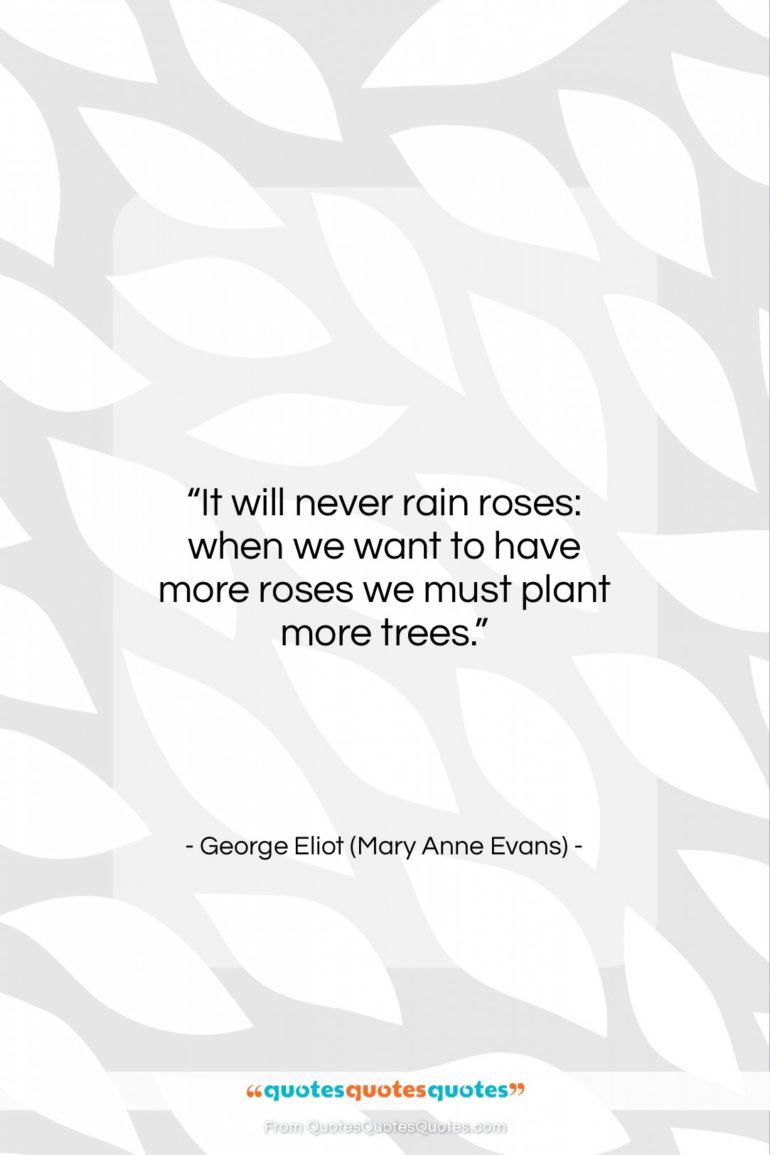 George Eliot (Mary Anne Evans) quote: “It will never rain roses: when we…”- at QuotesQuotesQuotes.com