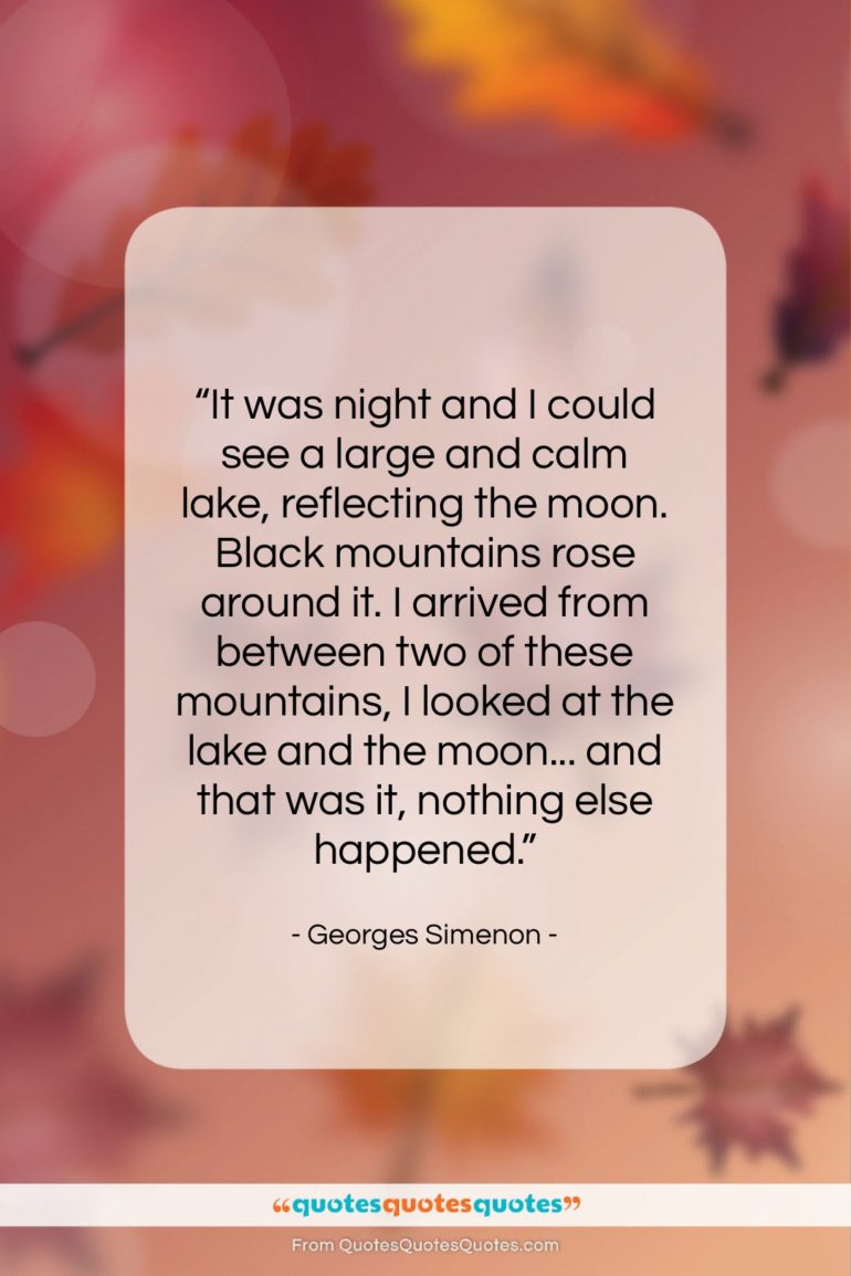 Georges Simenon quote: “It was night and I could see…”- at QuotesQuotesQuotes.com