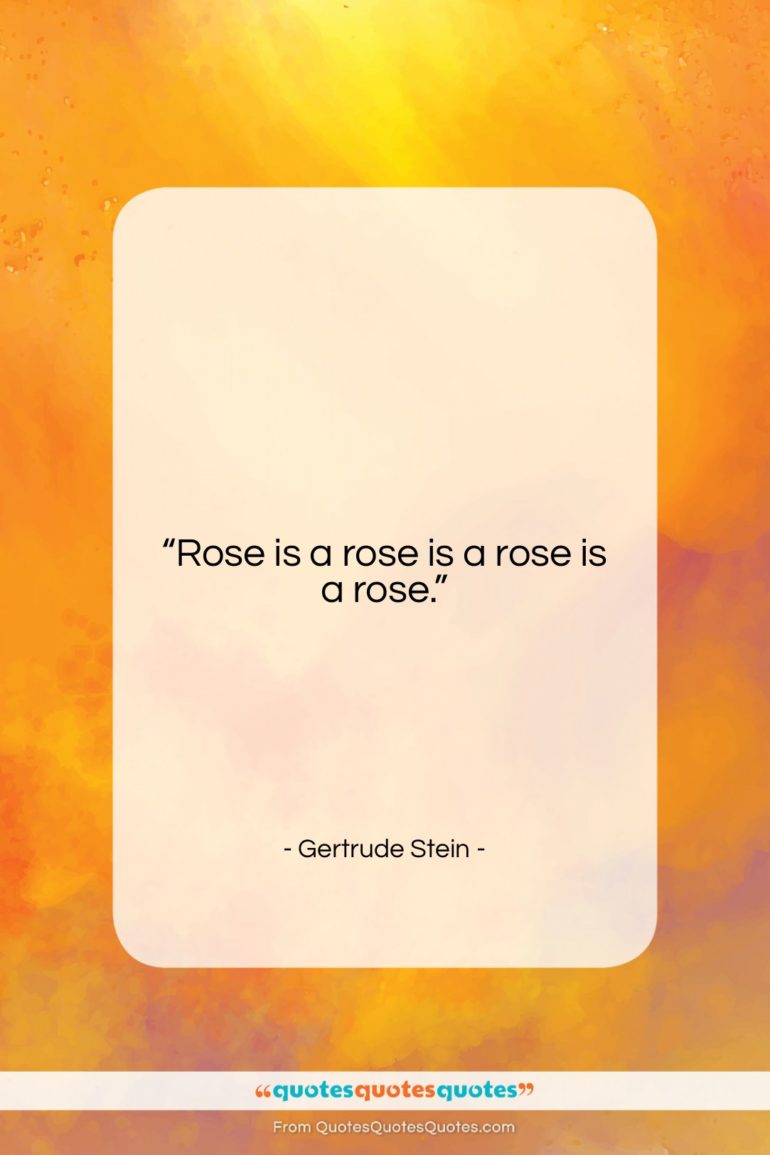 Gertrude Stein quote: “Rose is a rose is a rose…”- at QuotesQuotesQuotes.com