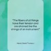 Henry David Thoreau quote: “The fibers of all things have their…”- at QuotesQuotesQuotes.com