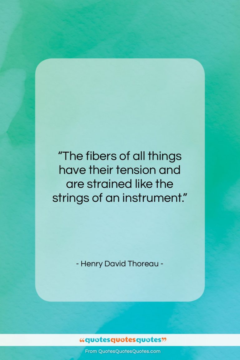 Henry David Thoreau quote: “The fibers of all things have their…”- at QuotesQuotesQuotes.com