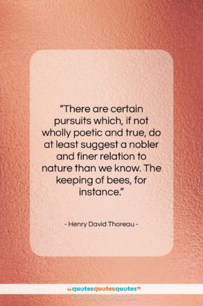 Henry David Thoreau quote: “There are certain pursuits which, if not…”- at QuotesQuotesQuotes.com