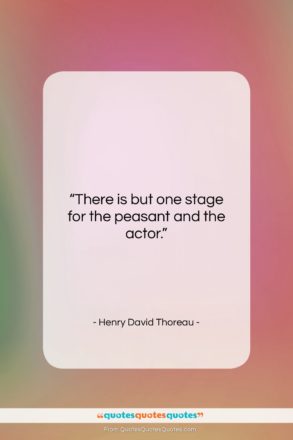 Henry David Thoreau quote: “There is but one stage for the…”- at QuotesQuotesQuotes.com