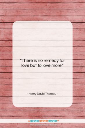 Henry David Thoreau quote: “There is no remedy for love but…”- at QuotesQuotesQuotes.com