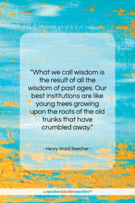 Henry Ward Beecher quote: “What we call wisdom is the result…”- at QuotesQuotesQuotes.com
