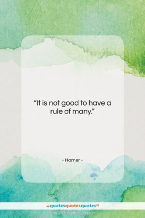 Homer quote: “It is not good to have a…”- at QuotesQuotesQuotes.com