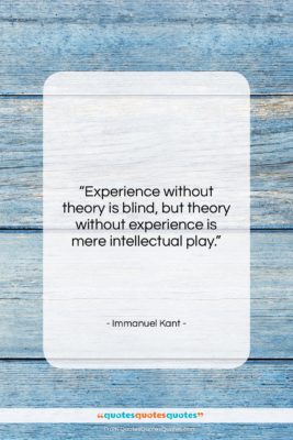 Immanuel Kant quote: “Experience without theory is blind, but theory…”- at QuotesQuotesQuotes.com