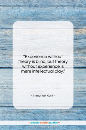 Immanuel Kant quote: “Experience without theory is blind, but theory…”- at QuotesQuotesQuotes.com