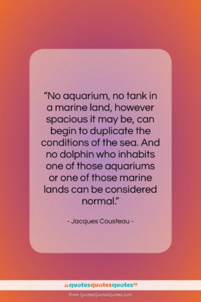 Jacques Cousteau quote: “No aquarium, no tank in a marine…”- at QuotesQuotesQuotes.com