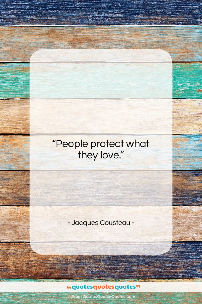 Jacques Cousteau quote: “People protect what they love….”- at QuotesQuotesQuotes.com
