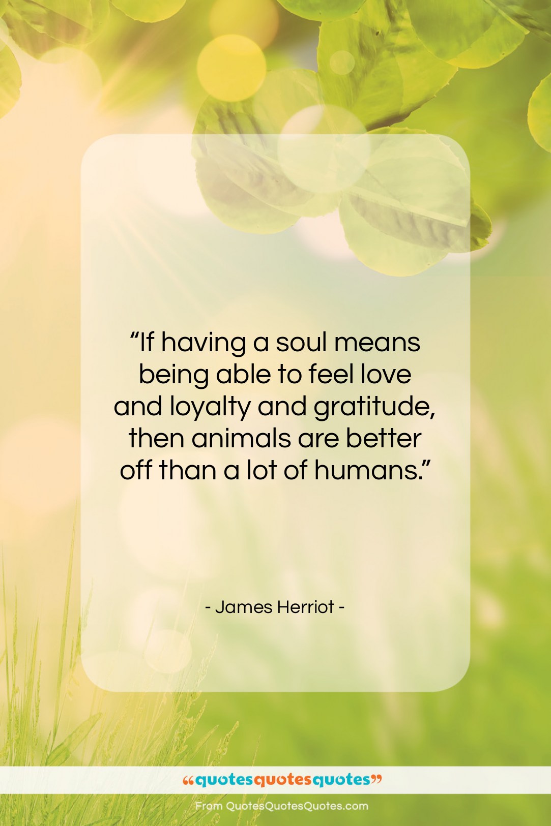 James Herriot quote: “If having a soul means being able…”- at QuotesQuotesQuotes.com