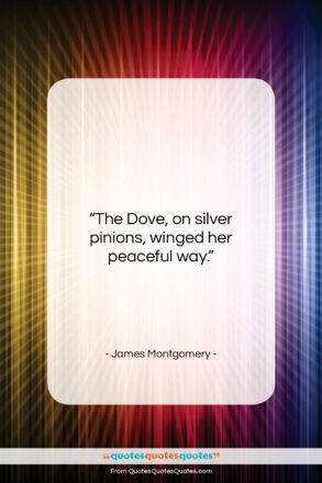 James Montgomery quote: “The Dove, on silver pinions, winged her…”- at QuotesQuotesQuotes.com