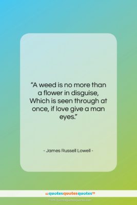 James Russell Lowell quote: “A weed is no more than a…”- at QuotesQuotesQuotes.com