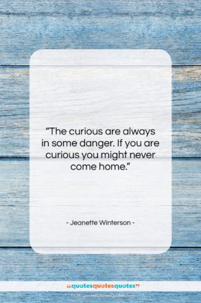 Jeanette Winterson quote: “The curious are always in some danger….”- at QuotesQuotesQuotes.com