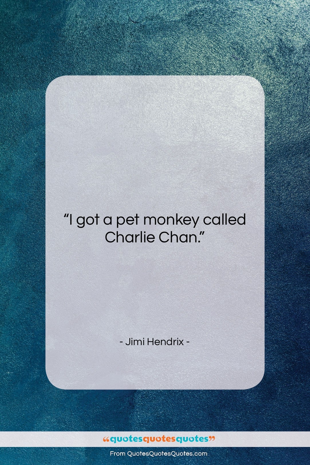 Jimi Hendrix quote: “I got a pet monkey called Charlie…”- at QuotesQuotesQuotes.com