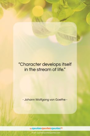 Johann Wolfgang von Goethe quote: “Character develops itself in the stream of…”- at QuotesQuotesQuotes.com