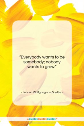 Johann Wolfgang von Goethe quote: “Everybody wants to be somebody; nobody wants…”- at QuotesQuotesQuotes.com