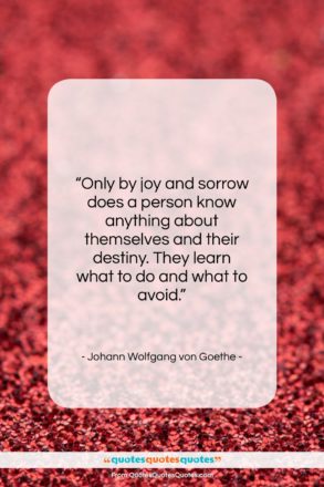 Johann Wolfgang von Goethe quote: “Only by joy and sorrow does a…”- at QuotesQuotesQuotes.com