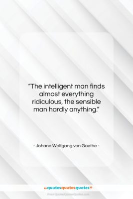 Johann Wolfgang von Goethe quote: “The intelligent man finds almost everything ridiculous,…”- at QuotesQuotesQuotes.com