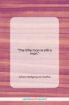 Johann Wolfgang von Goethe quote: “The little man is still a man….”- at QuotesQuotesQuotes.com