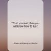 Johann Wolfgang von Goethe quote: “Trust yourself, then you will know how…”- at QuotesQuotesQuotes.com