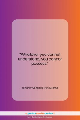 Johann Wolfgang von Goethe quote: “Whatever you cannot understand, you cannot possess….”- at QuotesQuotesQuotes.com