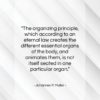 Johannes P. Muller quote: “The organizing principle, which according to an…”- at QuotesQuotesQuotes.com