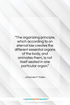 Johannes P. Muller quote: “The organizing principle, which according to an…”- at QuotesQuotesQuotes.com