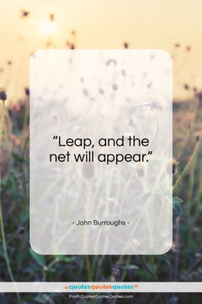 John Burroughs quote: “Leap, and the net will appear.”- at QuotesQuotesQuotes.com