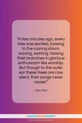 John Muir quote: “A few minutes ago, every tree was…”- at QuotesQuotesQuotes.com